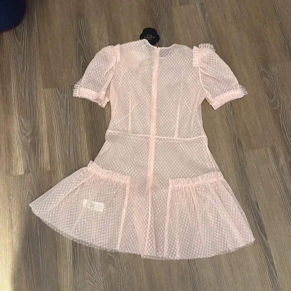 NWT The Vampire's Wife The Fairy Goddess Pink Embellished Tulle Mini Dress - Picture 9 of 10